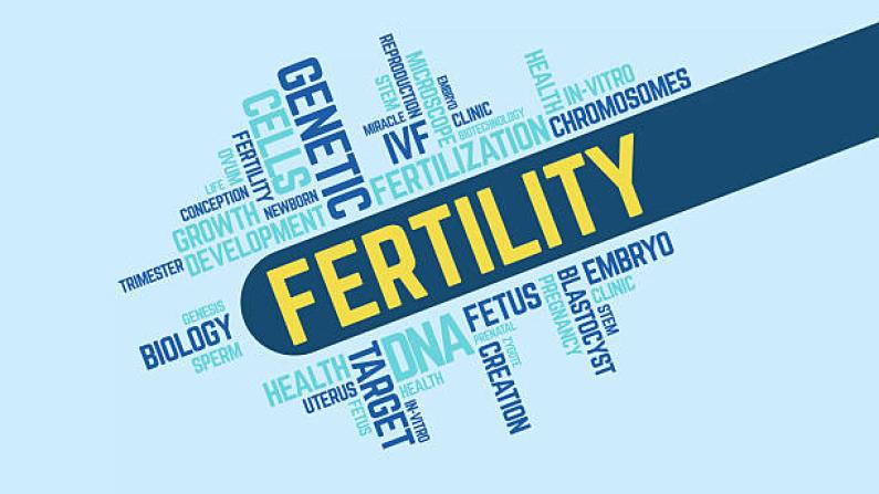 istockphoto 2234999203 612x613