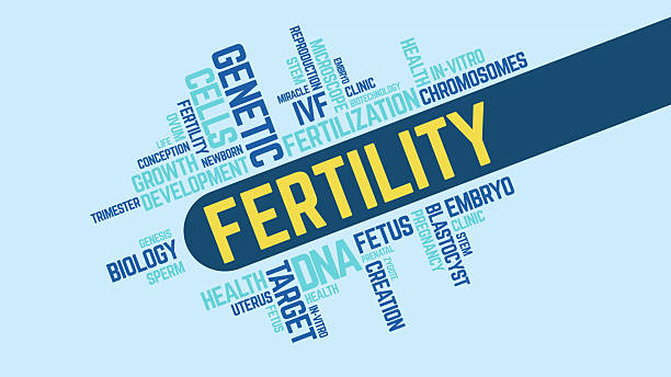 istockphoto 2234999203 612x612